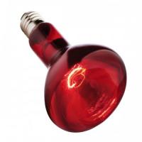 Лампа зеркал. ИКЗК 100 Вт R95 E27 красная 